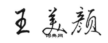 駱恆光王美顏行書個性簽名怎么寫