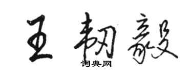 駱恆光王韌毅行書個性簽名怎么寫