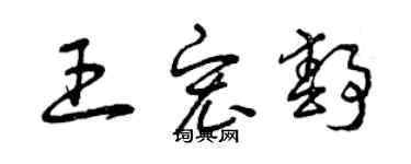 曾慶福王宏靜草書個性簽名怎么寫