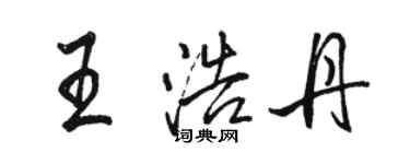 駱恆光王浩丹行書個性簽名怎么寫