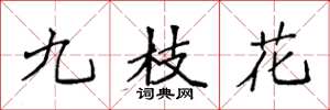 袁強九枝花楷書怎么寫