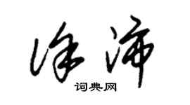 朱錫榮徐沛草書個性簽名怎么寫