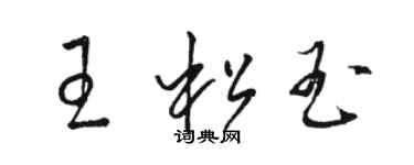 駱恆光王松玉草書個性簽名怎么寫