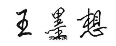 駱恆光王墨想行書個性簽名怎么寫