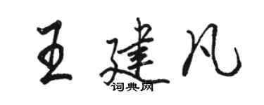 駱恆光王建凡行書個性簽名怎么寫