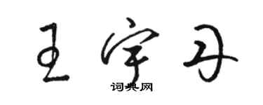 駱恆光王宇丹草書個性簽名怎么寫