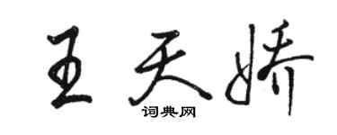 駱恆光王天嬌行書個性簽名怎么寫