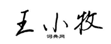 王正良王小牧行書個性簽名怎么寫