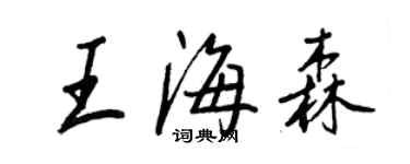 王正良王海森行書個性簽名怎么寫
