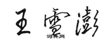 駱恆光王雪澎行書個性簽名怎么寫