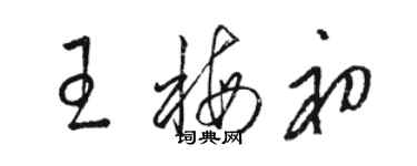 駱恆光王梅初草書個性簽名怎么寫