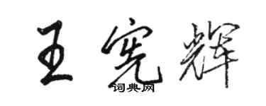 駱恆光王憲輝行書個性簽名怎么寫