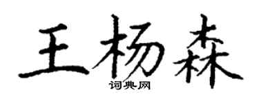 丁謙王楊森楷書個性簽名怎么寫