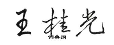 駱恆光王桂光行書個性簽名怎么寫