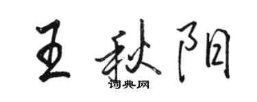 駱恆光王秋陽行書個性簽名怎么寫