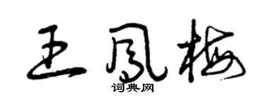 曾慶福王鳳梅草書個性簽名怎么寫