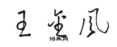 駱恆光王金風草書個性簽名怎么寫