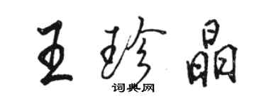 駱恆光王珍晶行書個性簽名怎么寫