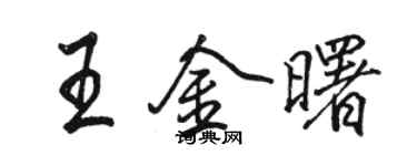 駱恆光王金曙行書個性簽名怎么寫
