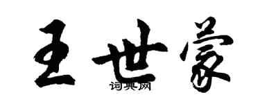 胡問遂王世蒙行書個性簽名怎么寫