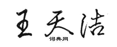 駱恆光王天潔行書個性簽名怎么寫