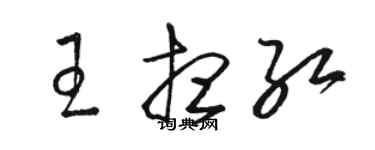 駱恆光王想紅草書個性簽名怎么寫