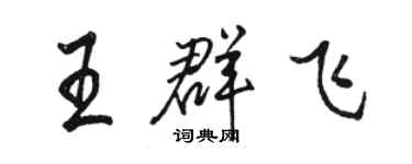 駱恆光王群飛行書個性簽名怎么寫