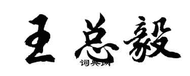 胡問遂王總毅行書個性簽名怎么寫