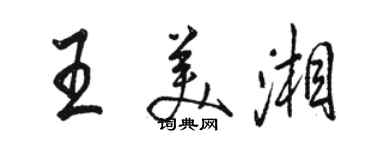 駱恆光王美湘行書個性簽名怎么寫