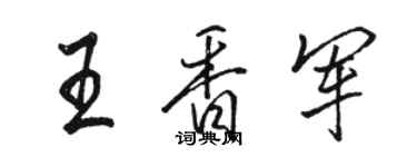 駱恆光王香軍行書個性簽名怎么寫