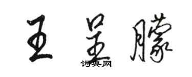 駱恆光王呈朦行書個性簽名怎么寫