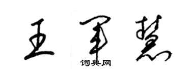 梁錦英王軍慧草書個性簽名怎么寫