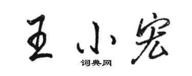 駱恆光王小宏行書個性簽名怎么寫