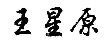 胡問遂王星原行書個性簽名怎么寫