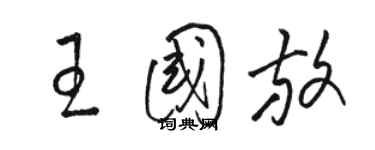 駱恆光王國放草書個性簽名怎么寫