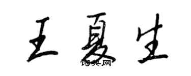 王正良王夏生行書個性簽名怎么寫