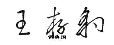 駱恆光王存豹草書個性簽名怎么寫