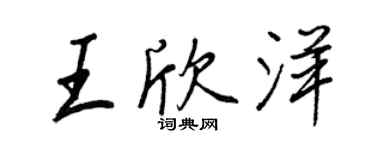 王正良王欣洋行書個性簽名怎么寫