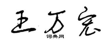曾慶福王萬宏草書個性簽名怎么寫