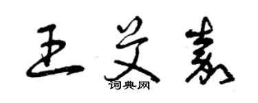 曾慶福王艾嘉草書個性簽名怎么寫