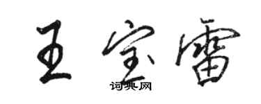 駱恆光王寶雷行書個性簽名怎么寫