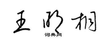 梁錦英王明桐草書個性簽名怎么寫