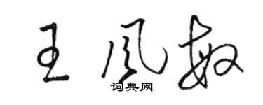 駱恆光王風敏草書個性簽名怎么寫