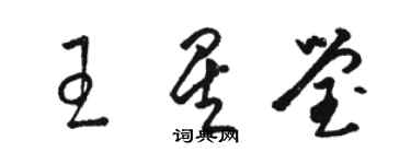 駱恆光王星瑩草書個性簽名怎么寫