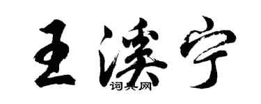 胡問遂王溪寧行書個性簽名怎么寫