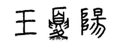 曾慶福王夏陽篆書個性簽名怎么寫