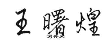 駱恆光王曙煌行書個性簽名怎么寫