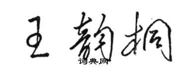 駱恆光王韻桐草書個性簽名怎么寫