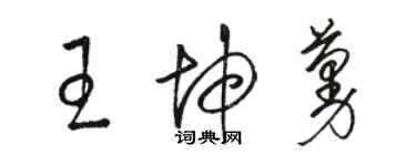 駱恆光王坤蔓草書個性簽名怎么寫