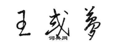 駱恆光王或夢草書個性簽名怎么寫